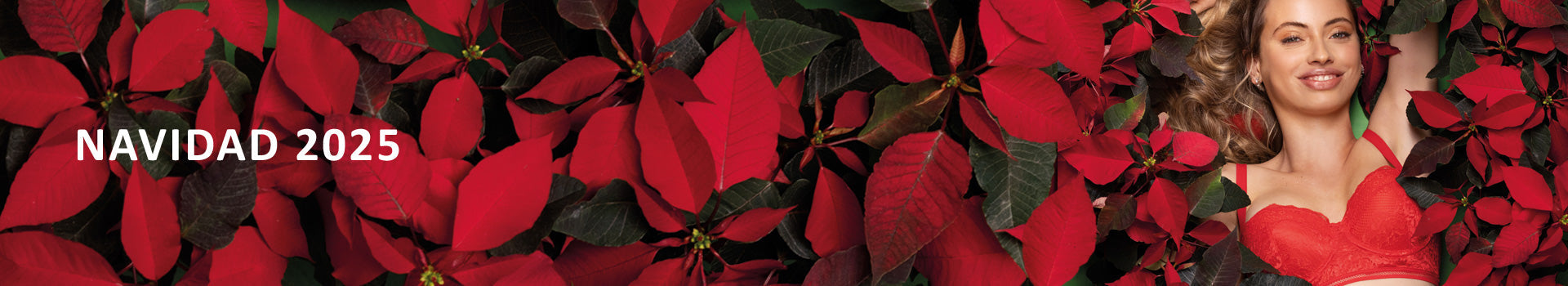 NAVIDAD 2025